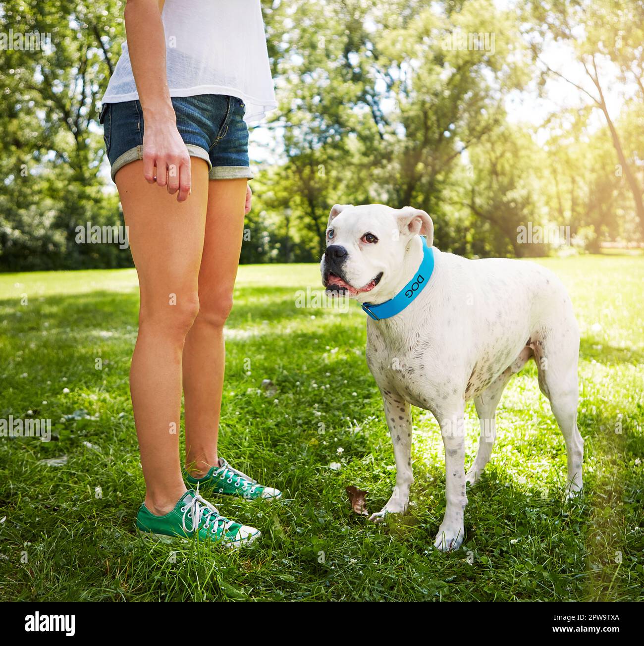 Ammalo aspetta solo fino a quando non si cambia che no a sì. un cane in piedi dal lato dei suoi proprietari. Foto Stock