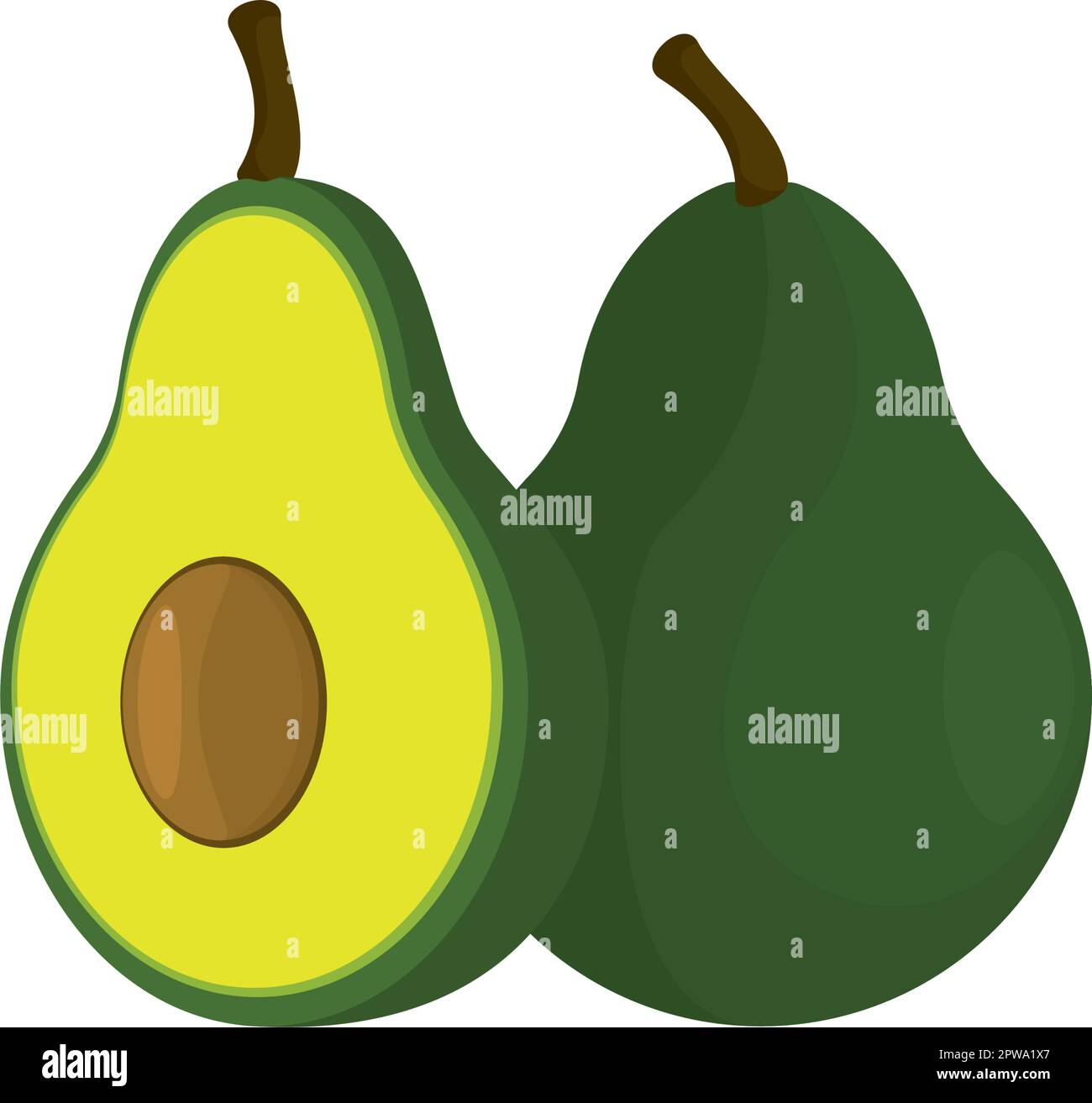 Disegno dettagliato di avocado tagliato e intatto Illustrazione Vettoriale