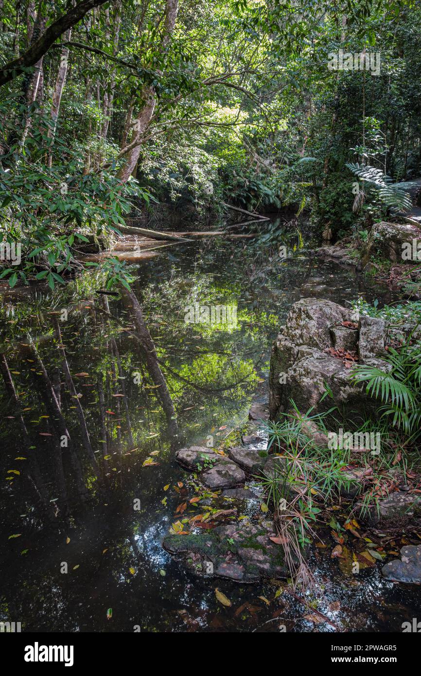 Jumrum Creek, Kuranda, Queensland, Australia Foto Stock