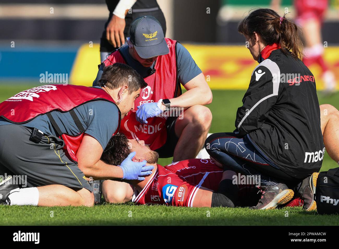 Durante la partita di semifinale della European Challenge Cup Llanelli Scarlets vs Glasgow Warriors al Parc y Scarlets di Llanelli, Regno Unito, 29th aprile 2023 (Foto di Craig Thomas/News Images) Foto Stock
