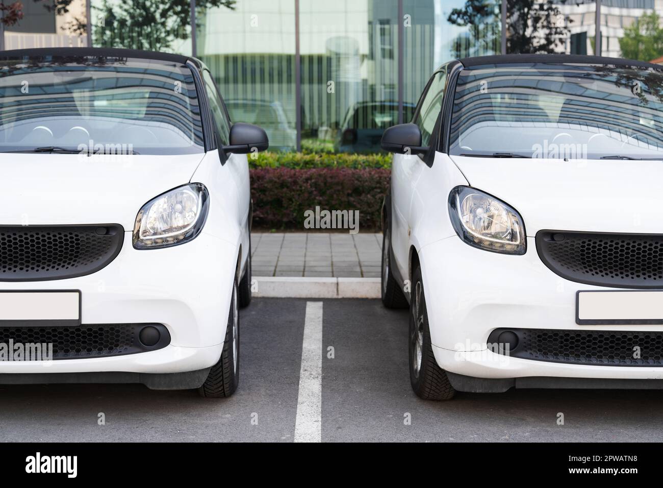 Noleggio di auto bianche di fila. Foto di alta qualità Foto Stock