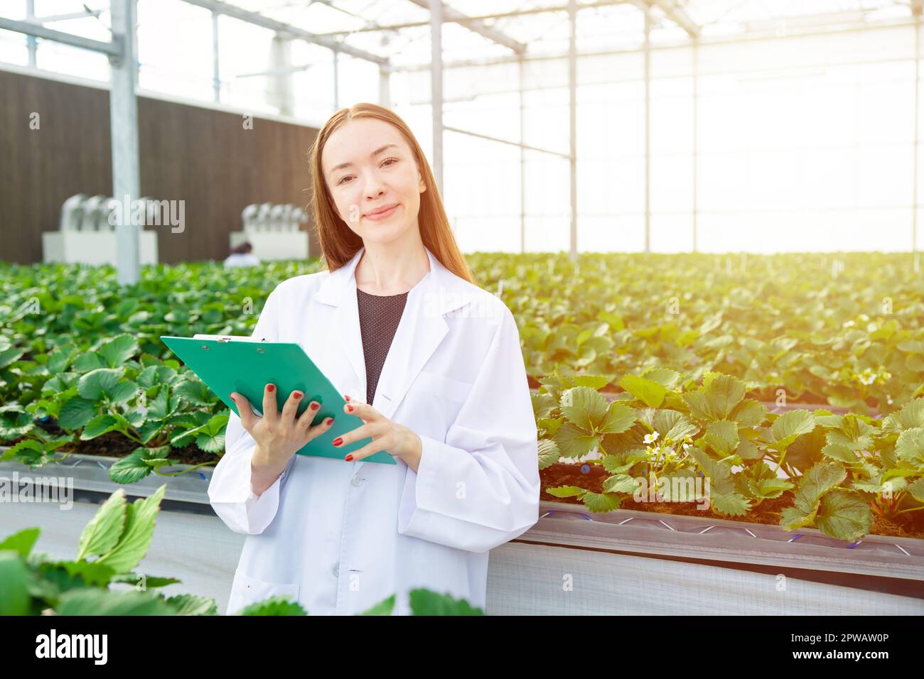 Il lavoro degli scienziati raccoglie i dati di registrazione che tracciano i dati di crescita delle piante per l'agricoltura ricerca agricola formazione scientifica Foto Stock