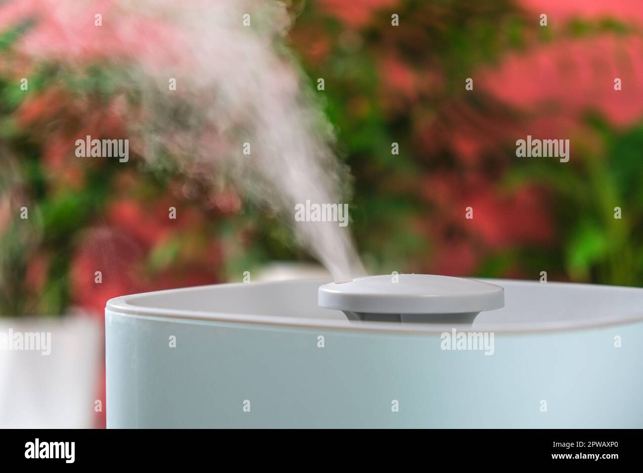 L'umidificatore a ultrasuoni rilascia vapore freddo. Cura ed idratazione di  piante in aria secca. Umidificatore in camera da letto per tosse e  secchezza Foto stock - Alamy