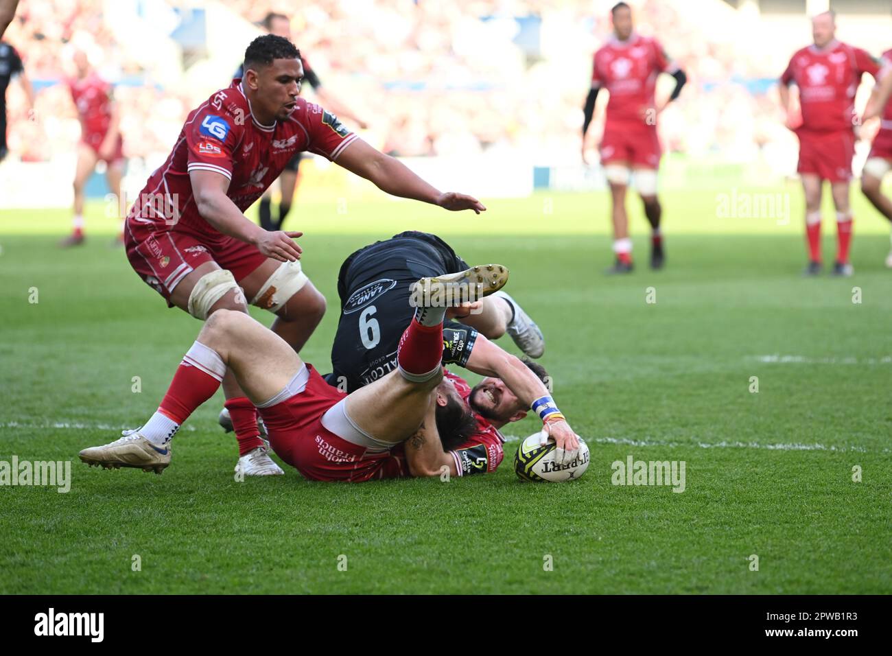 Llanelli, Regno Unito. 29th Apr, 2023. George Horne di Glasgow Warriors è affrontato durante la partita di semifinale della European Challenge Cup Llanelli Scarlets vs Glasgow Warriors al Parc y Scarlets di Llanelli, Regno Unito, 29th aprile 2023 (Photo by Craig Thomas/News Images) a Llanelli, Regno Unito, il 4/29/2023. (Foto di Craig Thomas/News Images/Sipa USA) Credit: Sipa USA/Alamy Live News Foto Stock