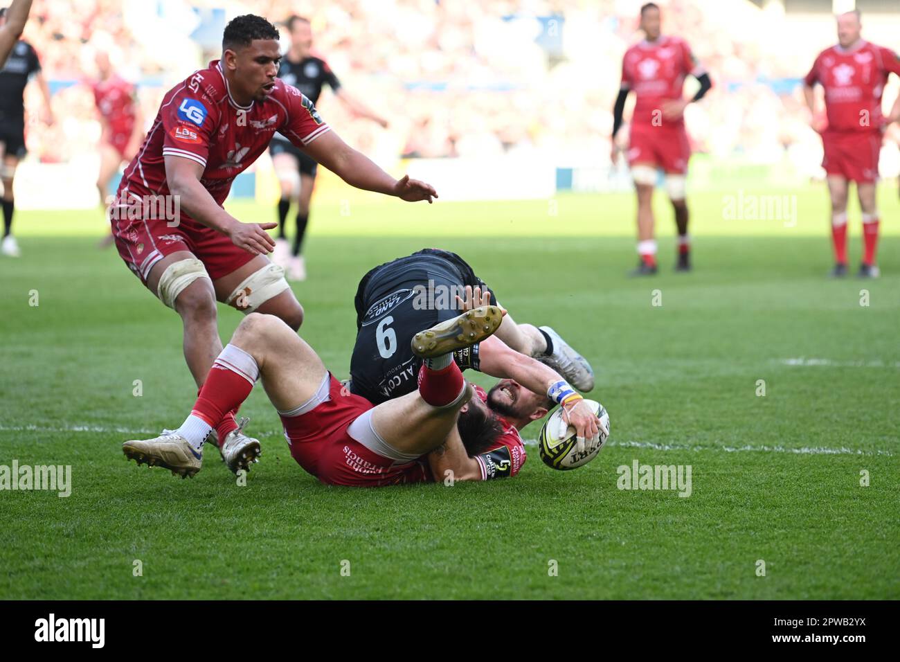 Llanelli, Regno Unito. 29th Apr, 2023. George Horne di Glasgow Warriors è affrontato durante la partita di semifinale della European Challenge Cup Llanelli Scarlets vs Glasgow Warriors al Parc y Scarlets di Llanelli, Regno Unito, 29th aprile 2023 (Photo by Craig Thomas/News Images) a Llanelli, Regno Unito, il 4/29/2023. (Foto di Craig Thomas/News Images/Sipa USA) Credit: Sipa USA/Alamy Live News Foto Stock