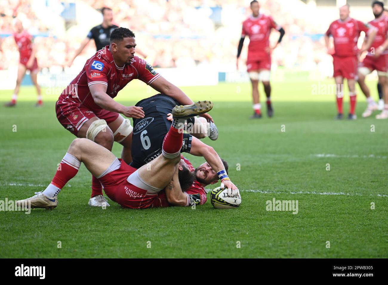 Llanelli, Regno Unito. 29th Apr, 2023. George Horne di Glasgow Warriors è affrontato durante la partita di semifinale della European Challenge Cup Llanelli Scarlets vs Glasgow Warriors al Parc y Scarlets di Llanelli, Regno Unito, 29th aprile 2023 (Photo by Craig Thomas/News Images) a Llanelli, Regno Unito, il 4/29/2023. (Foto di Craig Thomas/News Images/Sipa USA) Credit: Sipa USA/Alamy Live News Foto Stock