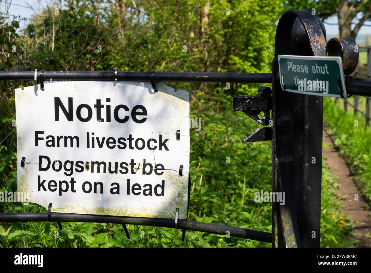 Avviso sul cancello del sentiero pubblico avvertimento che i cani devono essere tenuti su un piombo per proteggere il bestiame. Subito accanto alla fattoria Foto Stock