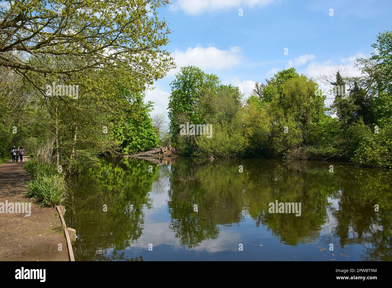 Percorso lungo il New River al confine con Enfield Town Park, Enfield, North London, in primavera Foto Stock
