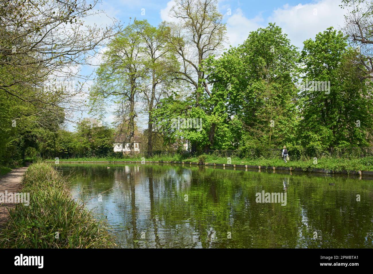 Il New River in primavera al confine con Enfield Town Park, Enfield, North London, Regno Unito Foto Stock