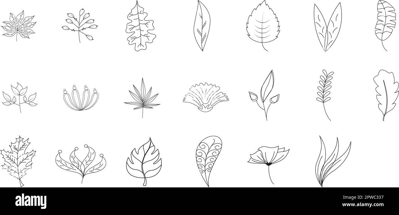 Contorni rametti e rametti ornamenti floreali. Rami di pianta vettoriale isolati lineari con foglie, erbe di foresta monocromatiche, elementi naturali per la progettazione di biglietti da matrimonio e inviti Illustrazione Vettoriale