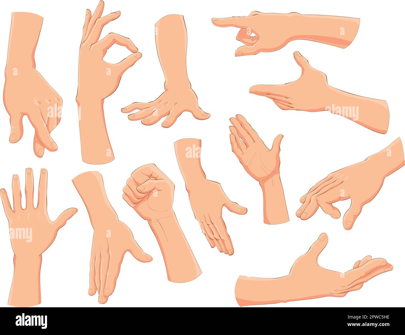 Le mani. Cartoni animati e oggetti vettoriali Illustrazione Vettoriale