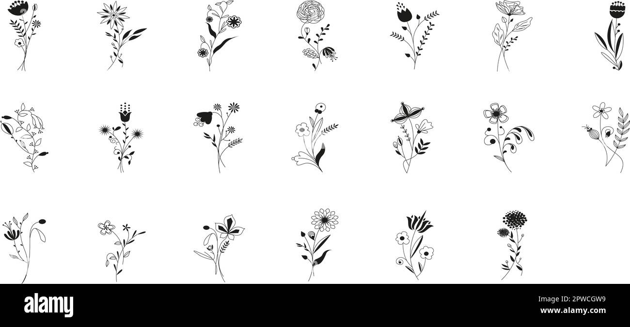 Set di elementi floreali disegnati a mano, piante e fiori. Rami isolati su sfondo bianco. Elementi di disegno. Invito, biglietto di auguri, sfondo, invito di nozze, salvare la data. Illustrazione Vettoriale