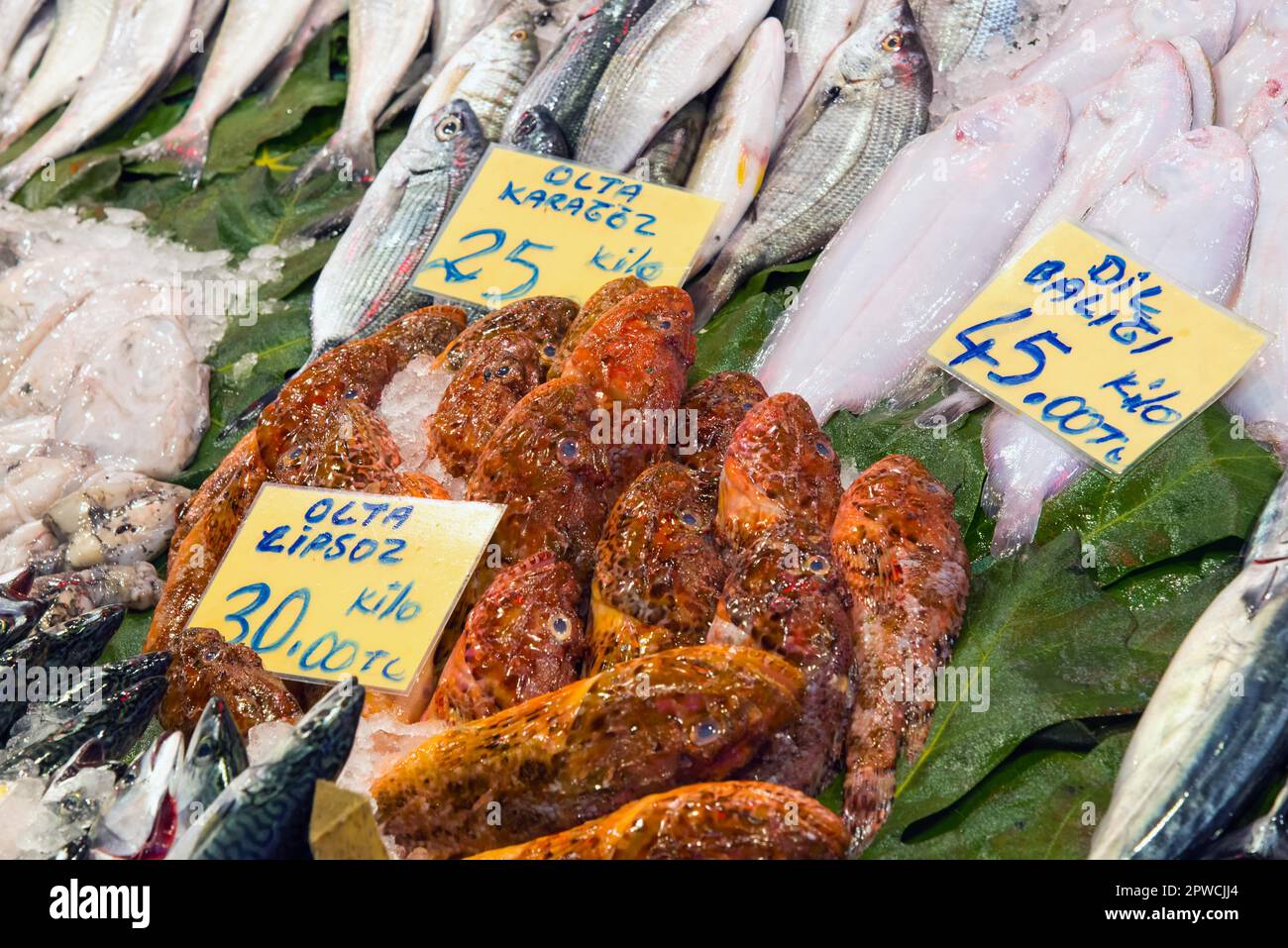 Scorfani e altri pesci in un mercato di Istanbul Foto Stock