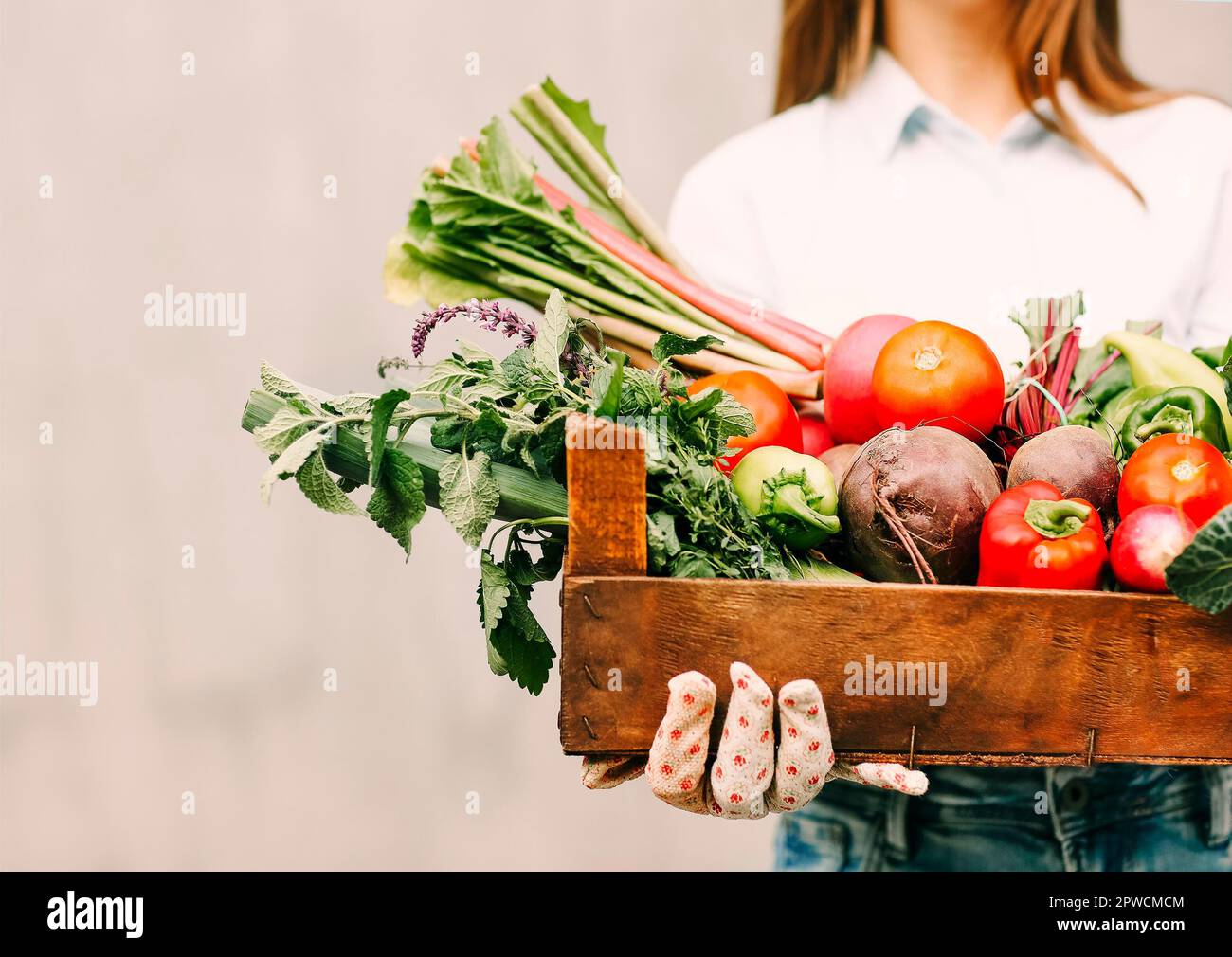 Donna irriconoscibile in guanti che dimostra cassa di legno con verdure varie durante il lavoro in azienda Foto Stock