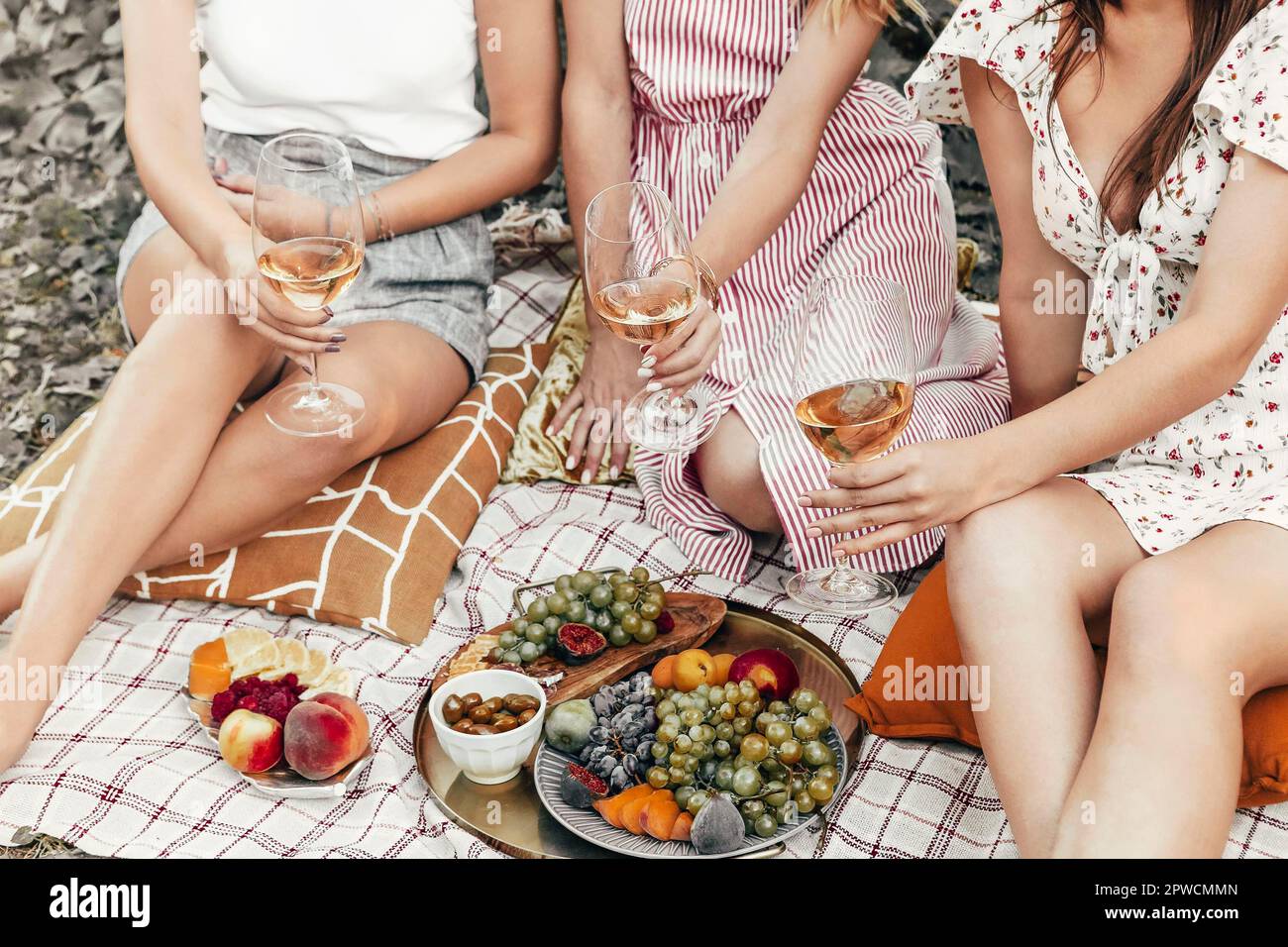 Da sopra anonime girlfriends cigliare bicchieri di vino mentre si siede su coperte vicino a piatti con frutta durante il picnic Foto Stock