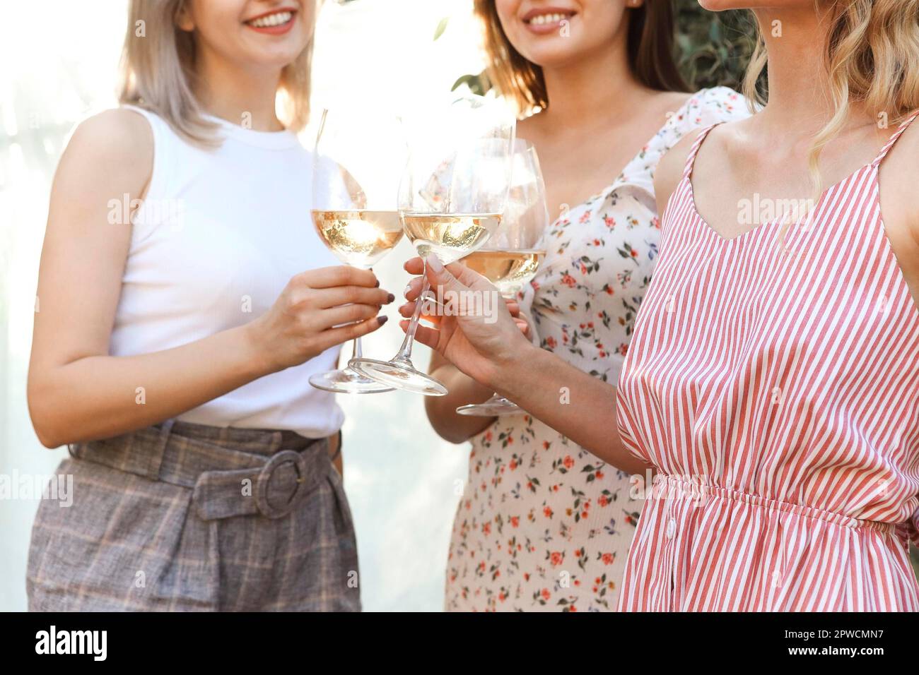 Da sopra anonime girlfriends cigliare bicchieri di vino mentre si siede su coperte vicino a piatti con frutta durante il picnic Foto Stock