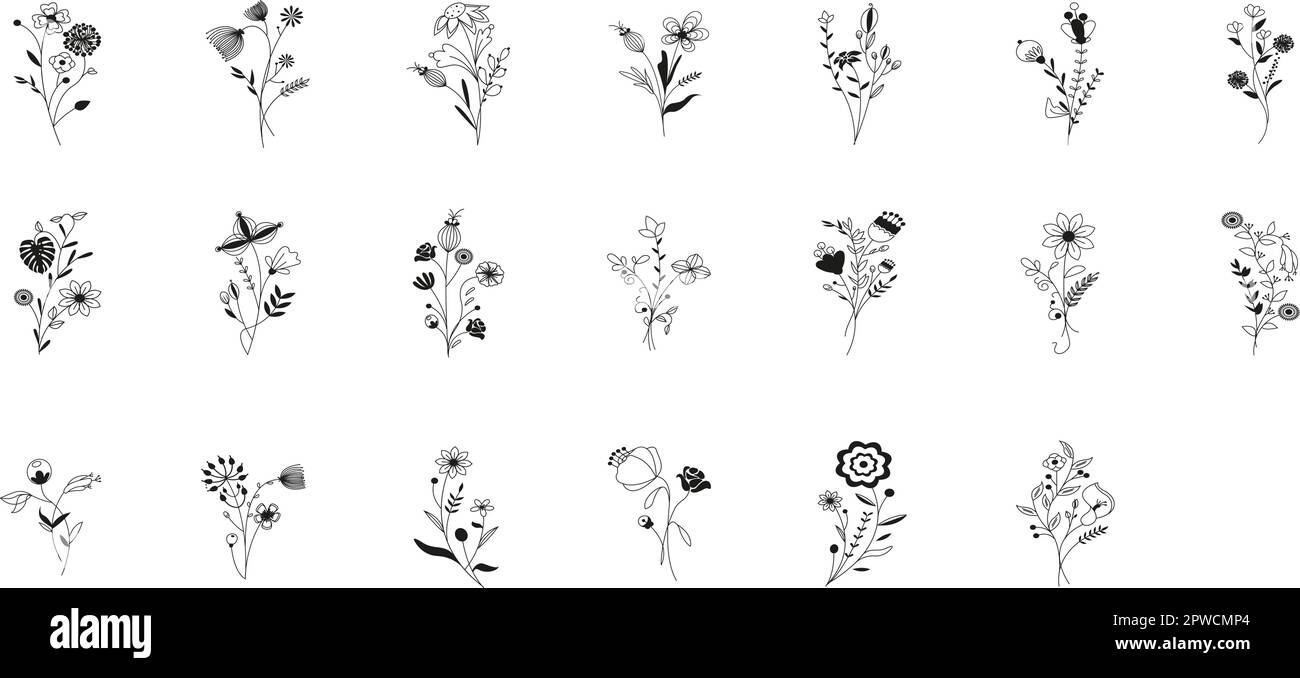 Fiori e rametti di prato, rami di albero, erbe d'erba estiva, set vettoriale. Fiori di doodle disegnati a mano, erbe, ramoscelli collezione botanica. Dogwood, salice, trifoglio, bacche, ramo di oliva, piante di erba Illustrazione Vettoriale