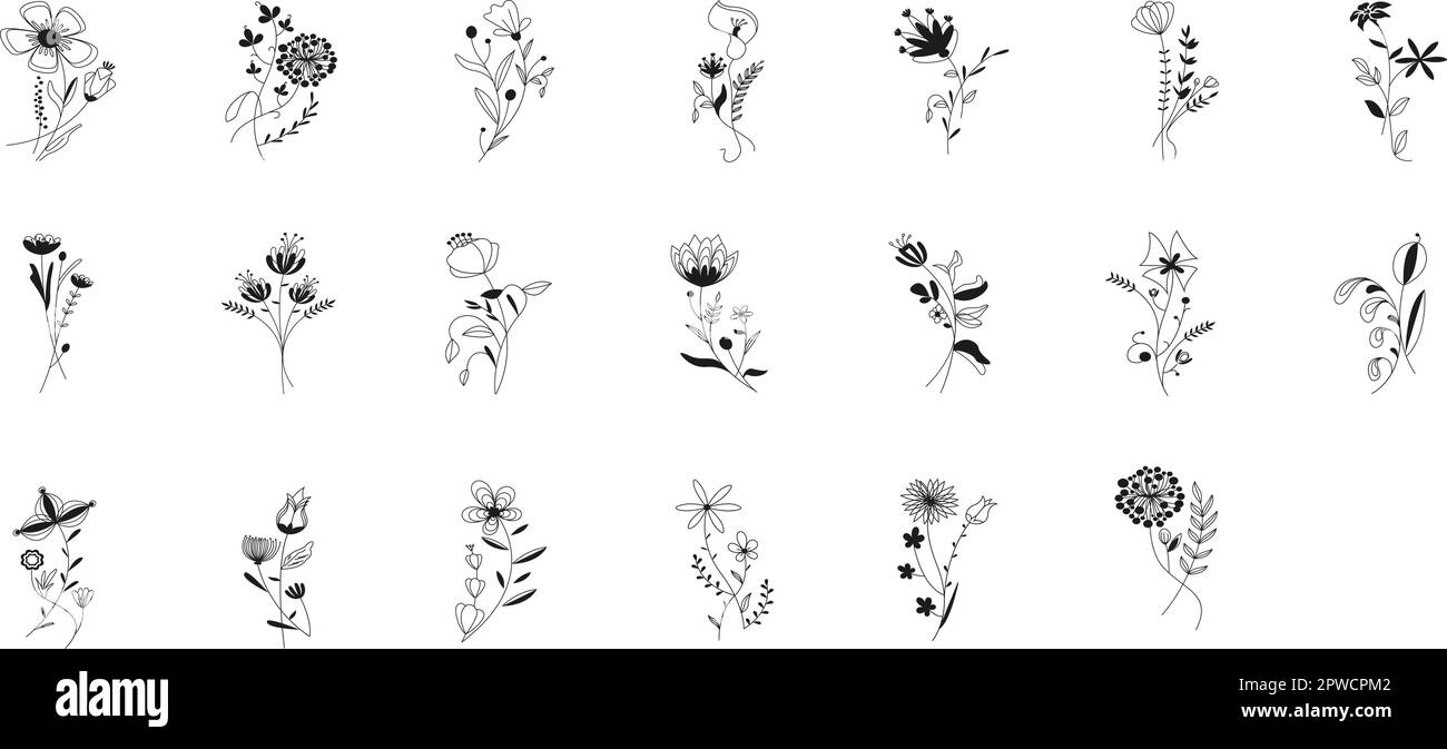 un insieme di piante medicinali commestibili, fiori di foglia e bacche in stile schizzo. raccolta di contorno nero isolato, margherite, girasoli, fiori di ciliegio, peonia, trifoglio . Illustrazione vettoriale Illustrazione Vettoriale