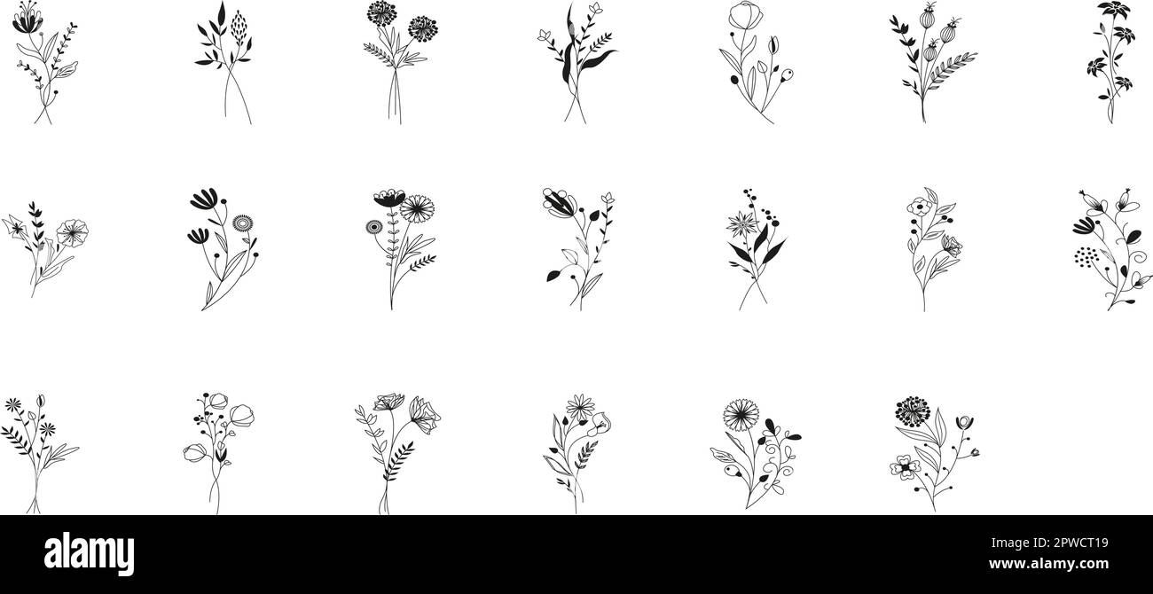 Illustrazioni botaniche vettoriali. Clipart botanica. Set di rami di line art. Elementi floreali di design alle erbe. Perfetto per inviti a matrimoni, biglietti d'auguri, blog, poster e altro ancora. Illustrazione vettoriale Illustrazione Vettoriale