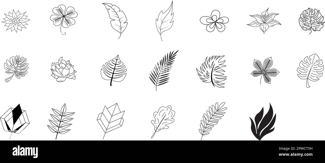 Un set di ramoscelli disegnati a mano con foglie. Stile Doodle. Elementi botanici, vegetali per la progettazione di cartoline, inviti. Isolato su bianco. Set di design di lusso per matrimoni e decorazioni. Illustrazione Vettoriale