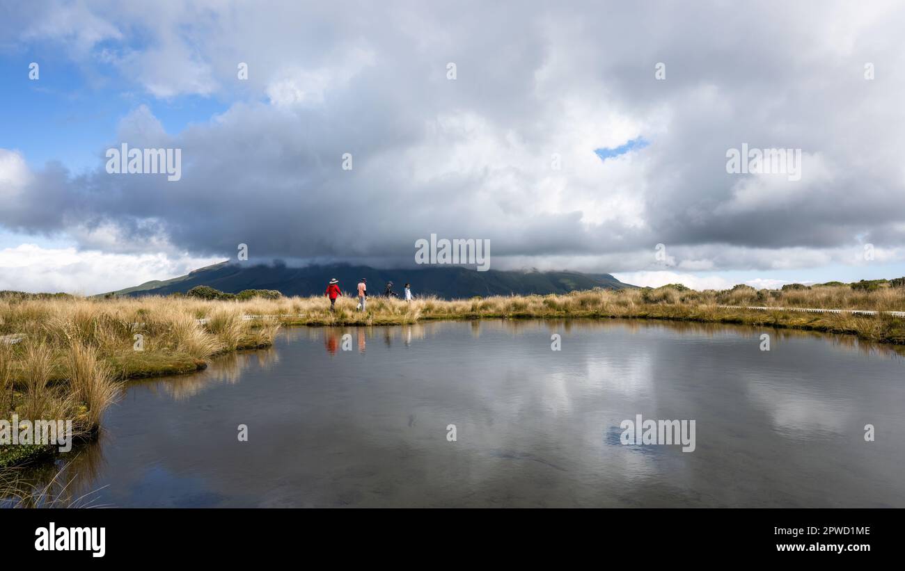 Persone escursioni Pouakai Tarn. Monte Taranaki nelle fitte nuvole. Taranaki. Nuova Zelanda. Foto Stock