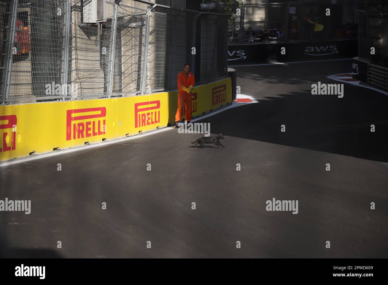 Baku, Azerbaigian. 28th Apr, 2023. BAKU, AZERBAIGIAN, 28. Aprile 2023; gatto nero in gara - GRAN Premio DI Formula 1 DELL'AZERBAIGIAN, F1 a BAKU, circuito di strada. Campionato del mondo FIA Formula1 il 28 aprile. 2023 - immagine a pagamento, copyright © Christian BAUDAT/ATPimages (BAUDAT Christian/ATP/SPP) Credit: SPP Sport Press Photo. /Alamy Live News Foto Stock