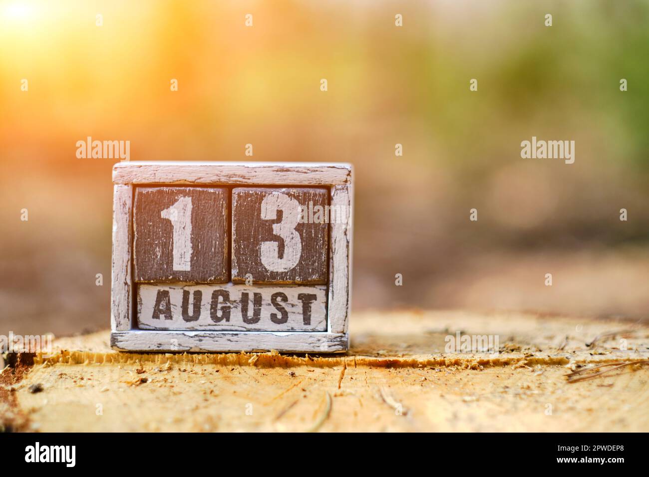 Agosto 13 su un calendario di legno in piedi su foresta di ceppo con luce solare Foto Stock