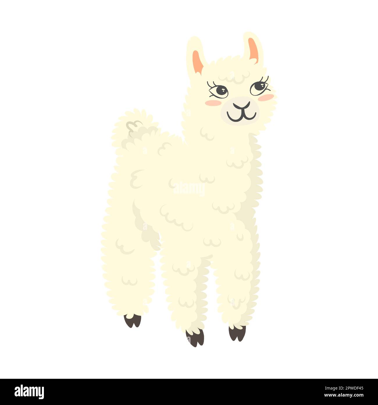 Cute lama in piedi e guardare in su, illustrazione vettoriale del cartone animato. Bambina bianca lama in diverse pose ed emozioni. Collezione di adesivi Illustrazione Vettoriale