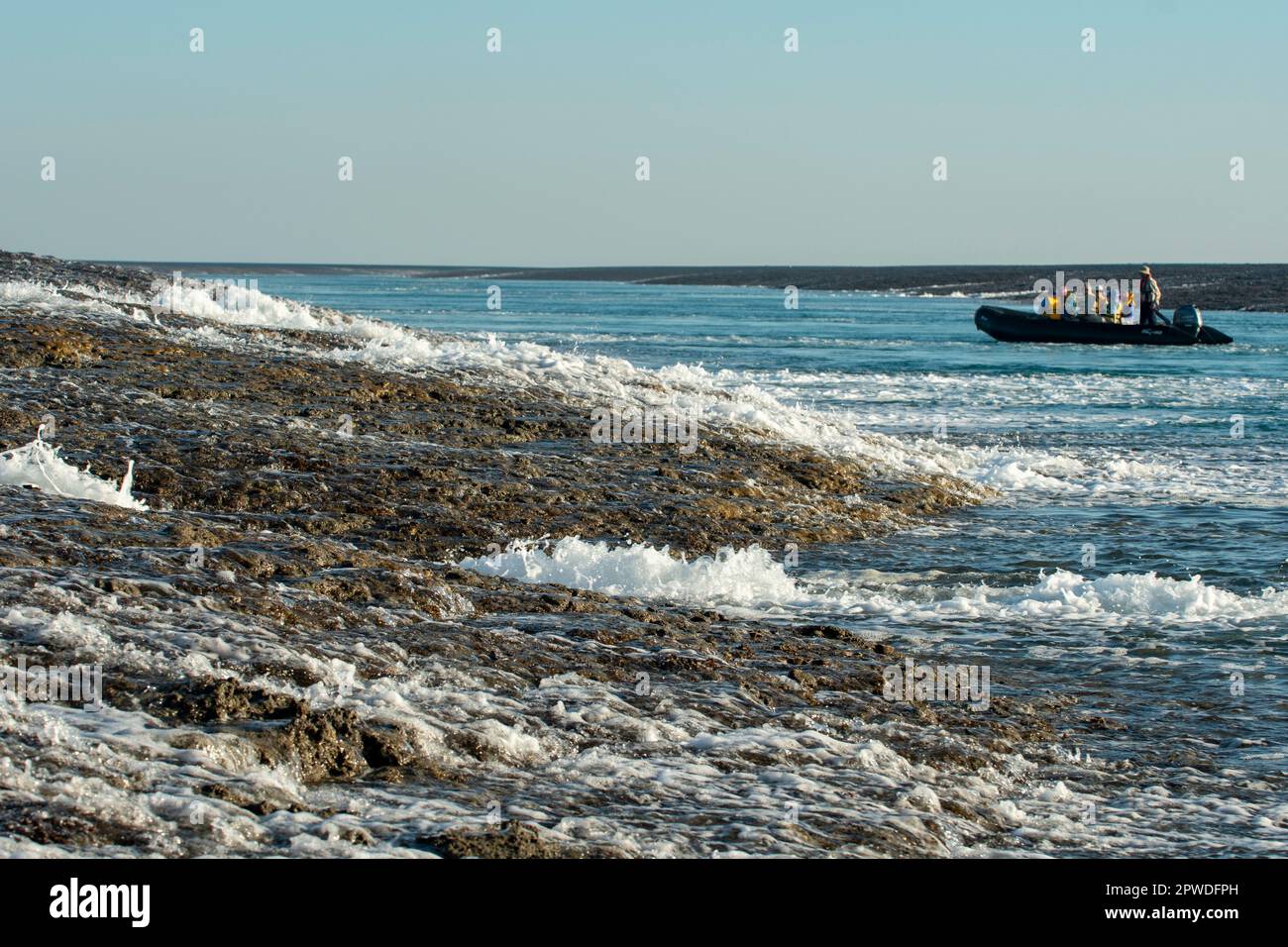 Bassa marea a Montgomery Reef, Kimberley Coast, WA, Australia Foto Stock