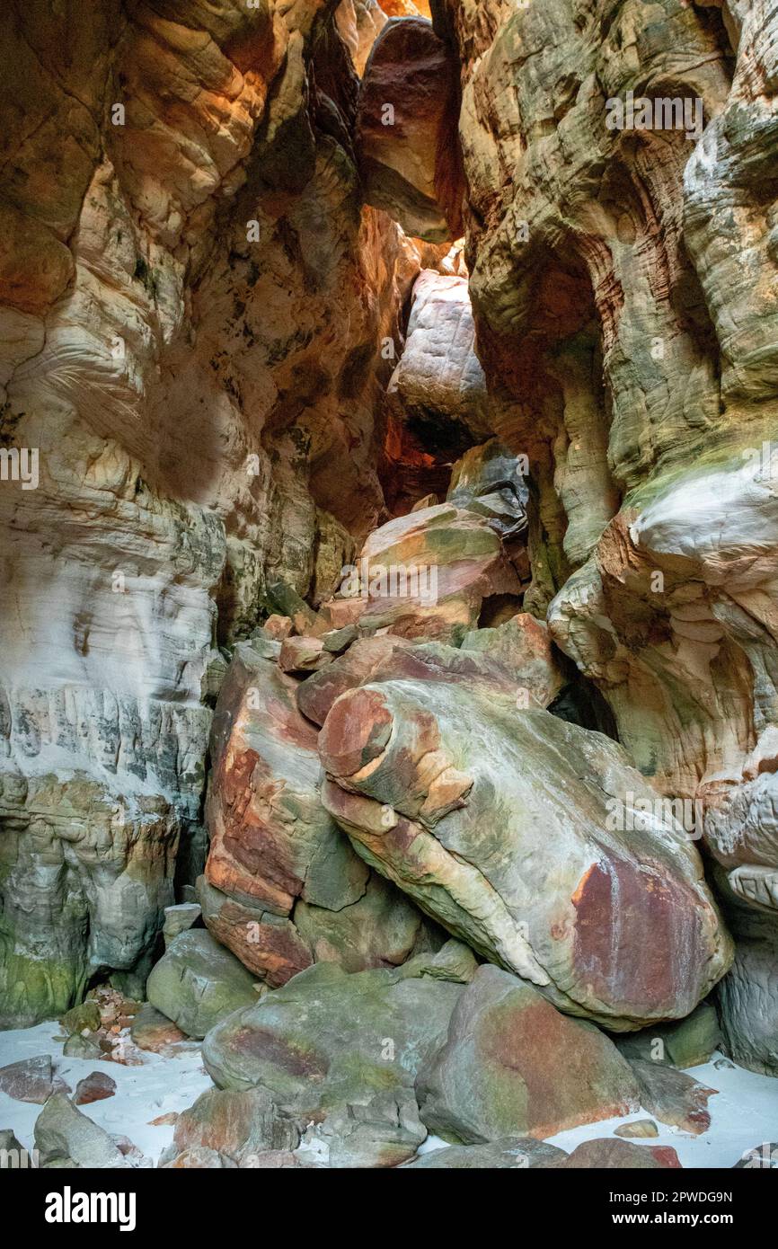 Cattedrale Cave su Bigge Island, Kimberley Coast, WA, Australia Foto Stock