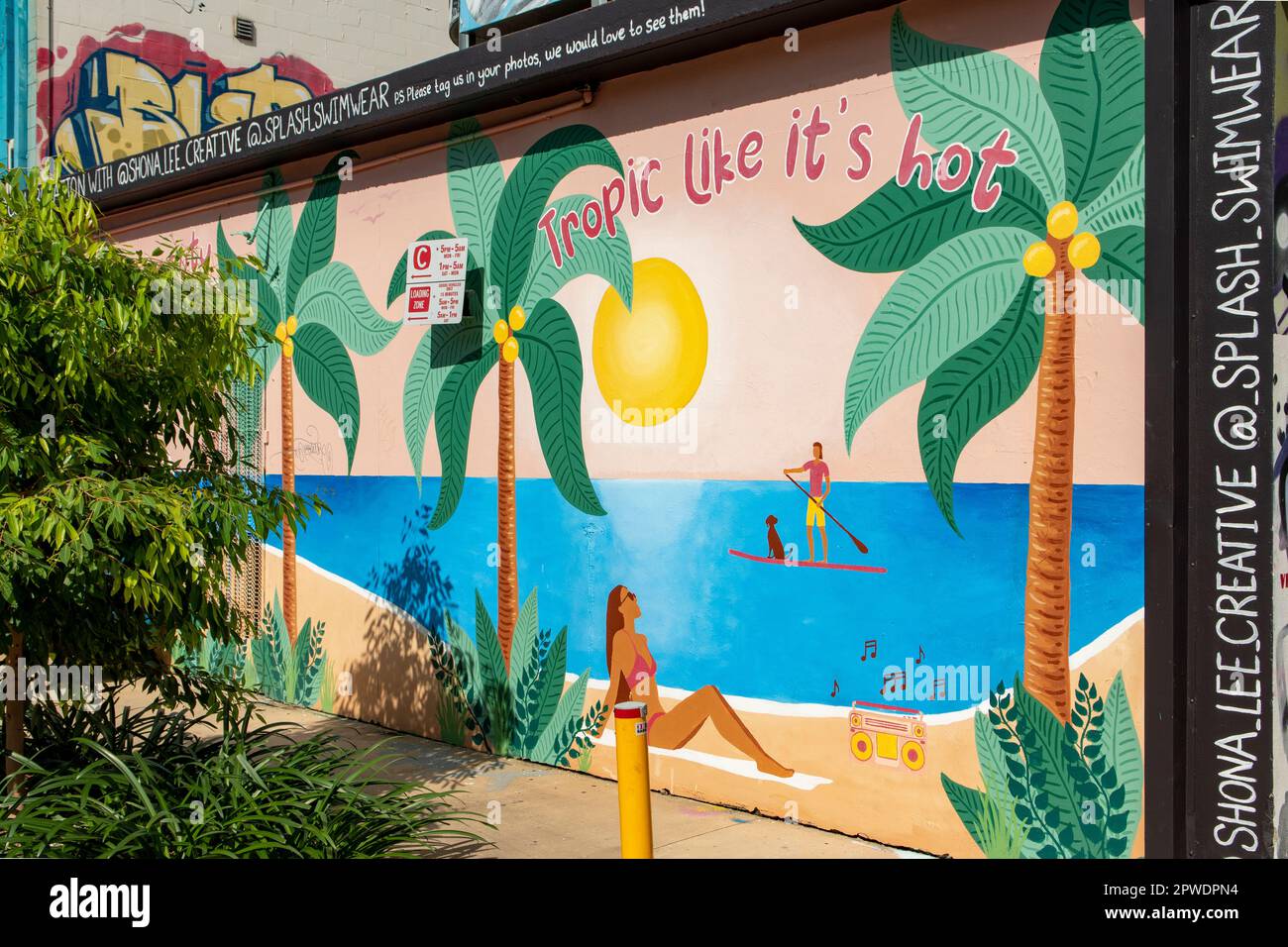 Tropical Street Art di Shona Lee, Darwin, NT, Australia Foto Stock