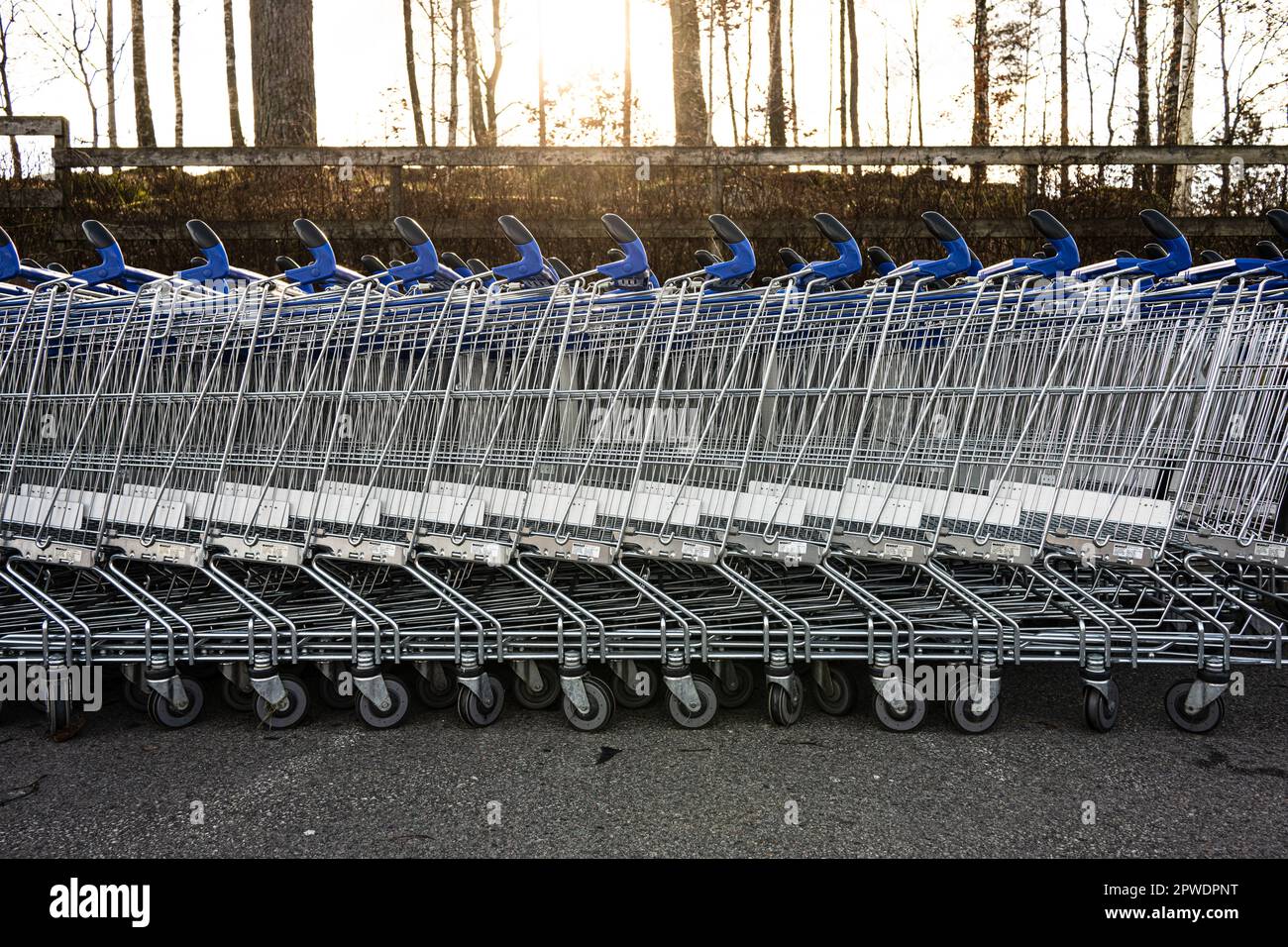 Lunghe file di carrelli vuoti in attesa dei clienti Foto Stock