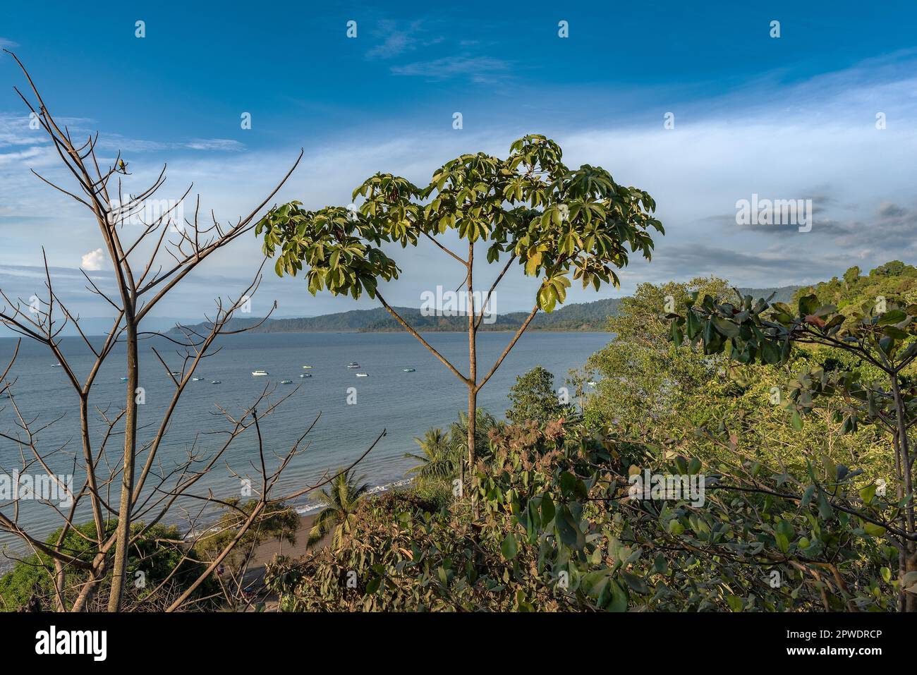 Spiaggia di sabbia della piccola città di Drake Bay, Puntarenas, Costa Rica Foto Stock
