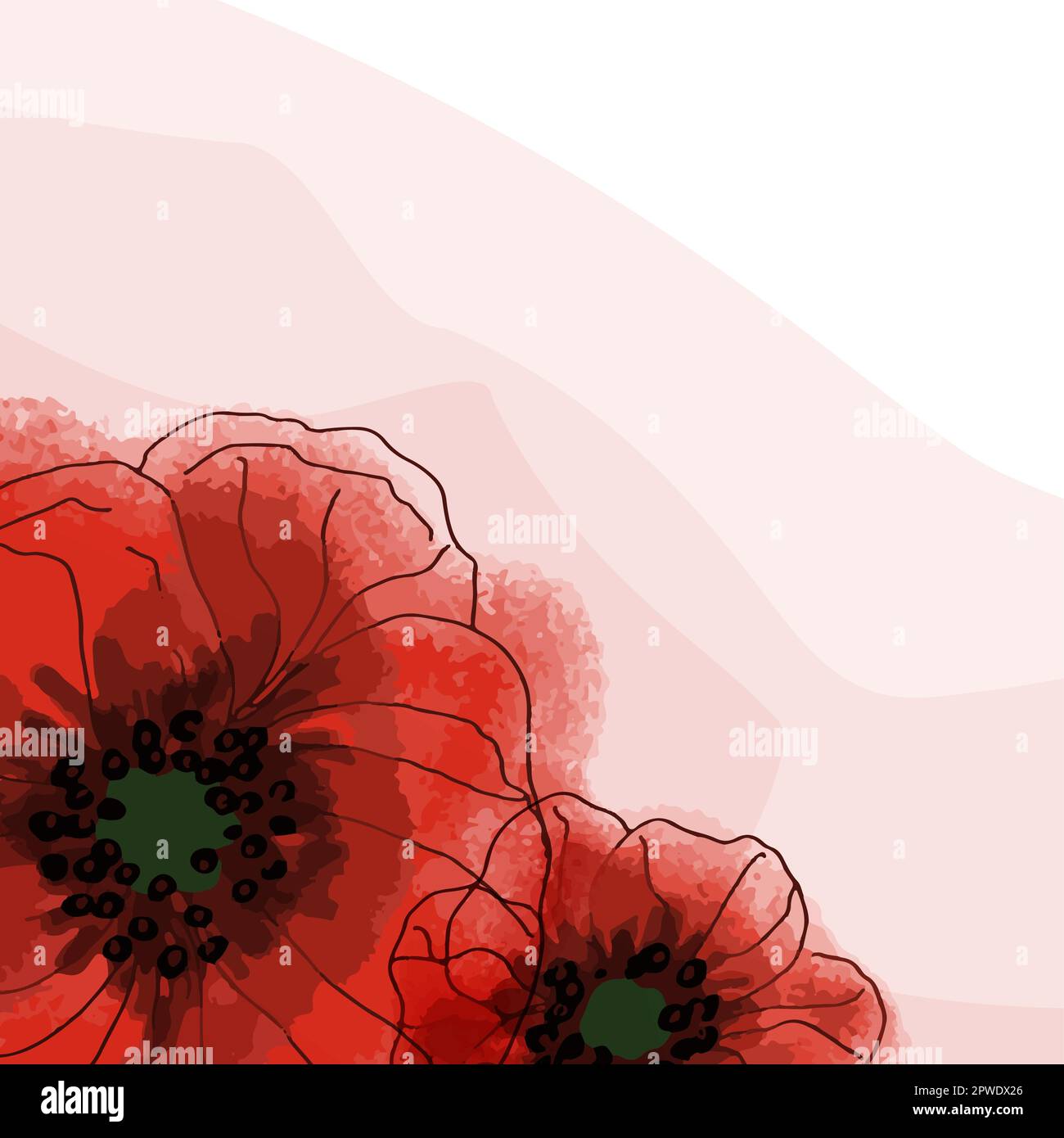 Banner con fiori di papavero su sfondo chiaro. Fiori di papavero disegnati a mano. Simbolo del giorno del ricordo. Poster per il giorno del ricordo e. Illustrazione Vettoriale