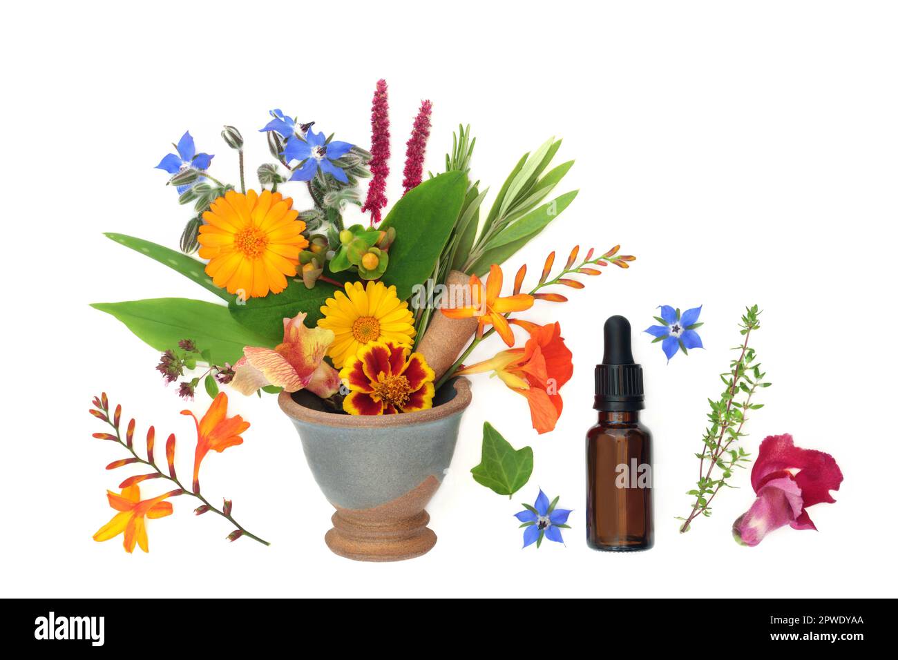 Fiori estivi, fiori selvatici ed erbe utilizzate nei trattamenti con oli essenziali per aromaterapia e nella medicina naturale delle piante a base di erbe. In un mortaio con fondo di tintura Foto Stock