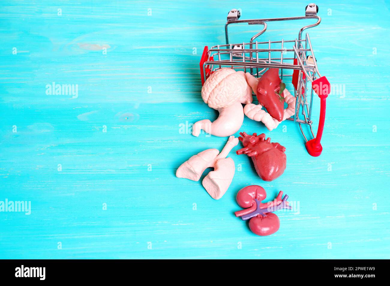 Repliche anatomiche delle parti essenziali del corpo umano caduto da un carrello della drogheria su un tavolo di legno blu con spazio della copia. Donazione di organi creativi Foto Stock