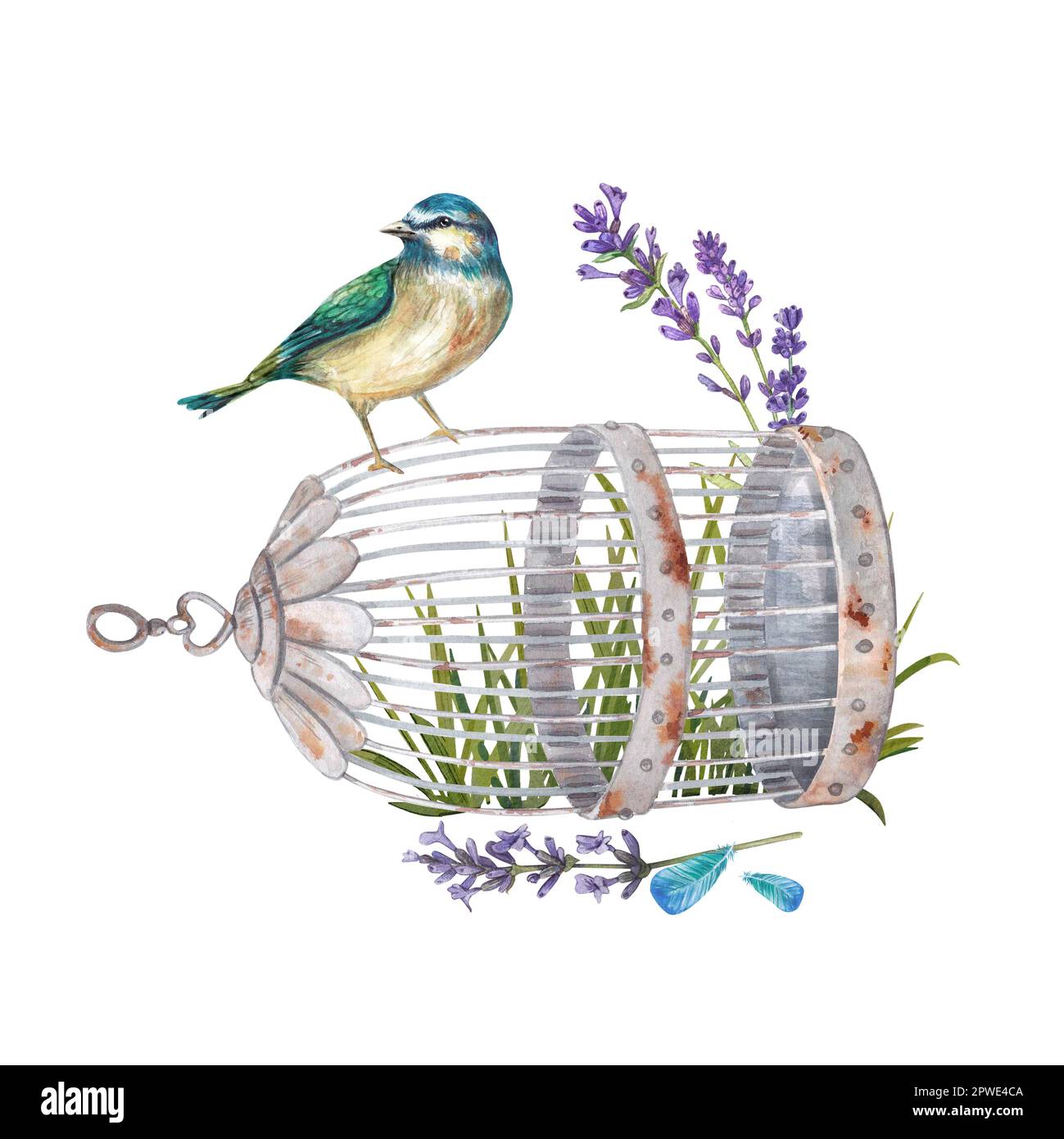 Un Bluebird siede su una gabbia di uccelli vintage su uno sfondo di erba e fiori. Acquerello in stile provenzale. Illustrazione botanica Foto Stock