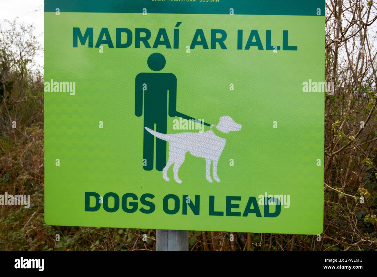 cani in piombo segno nel bosco bunakippaun attysslany habitat unico nella contea di burren clare repubblica d'irlanda Foto Stock