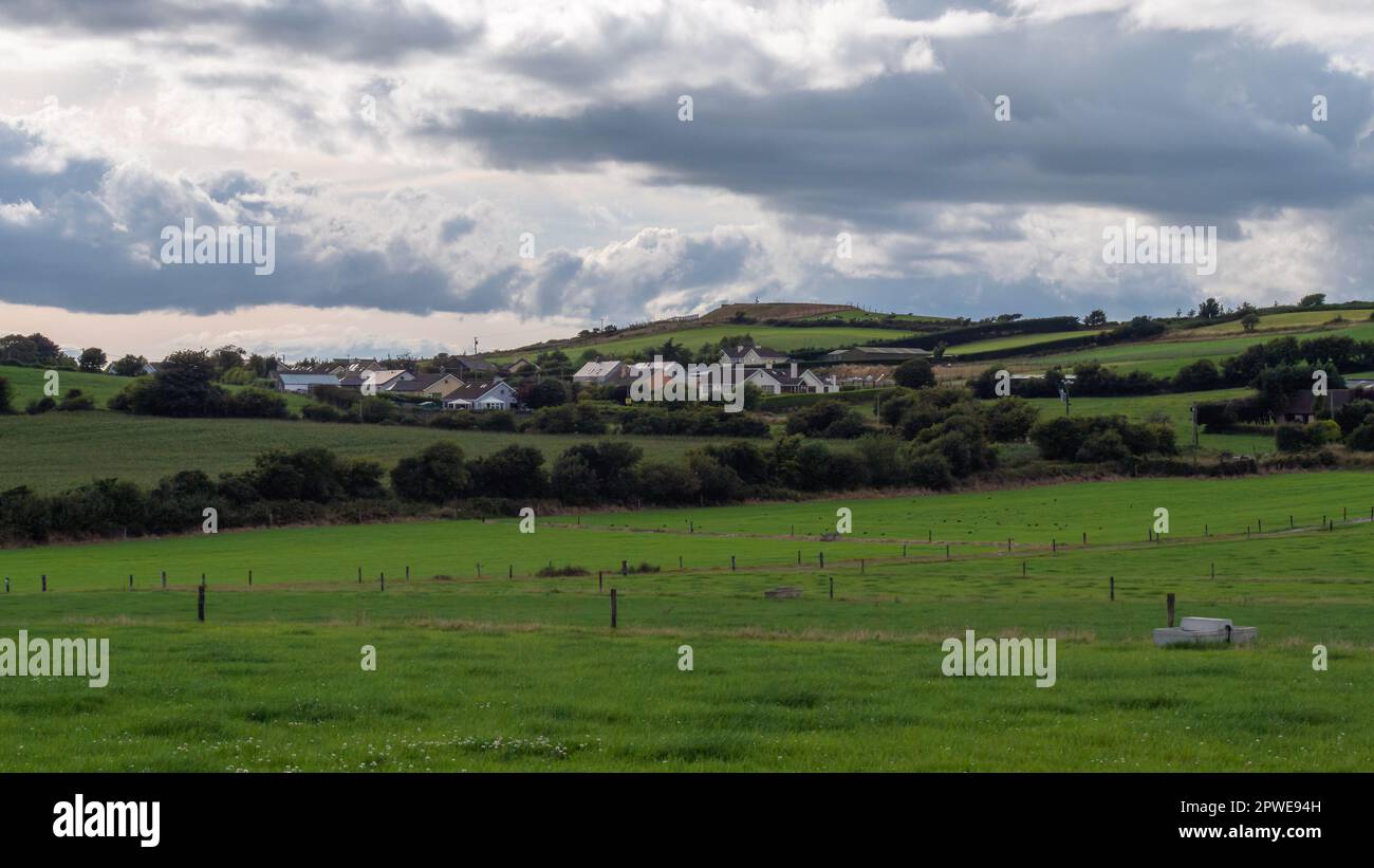 Un villaggio tra campi e alberi sotto un cielo nuvoloso sera, County Cork. Rustico paesaggio irlandese in estate, villaggio europeo. Campo in erba verde sotto Foto Stock