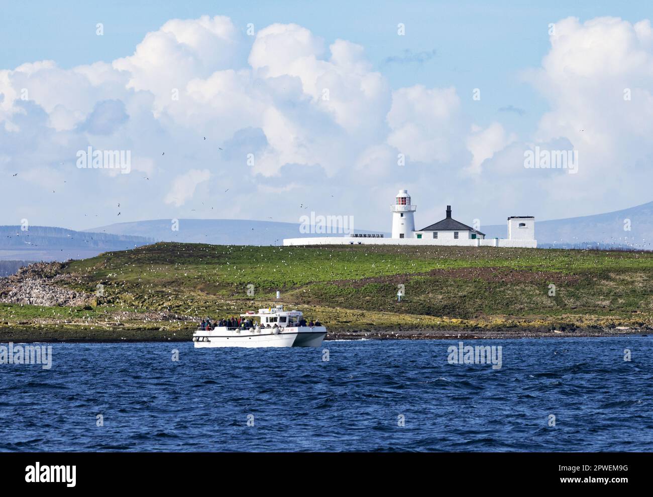 Turismo Isole Farne UK - un viaggio in barca delle Isole Farne per i turisti a vedere gli uccelli marini, con faro interno di Farne; Isole Farne Northumberland Regno Unito Foto Stock