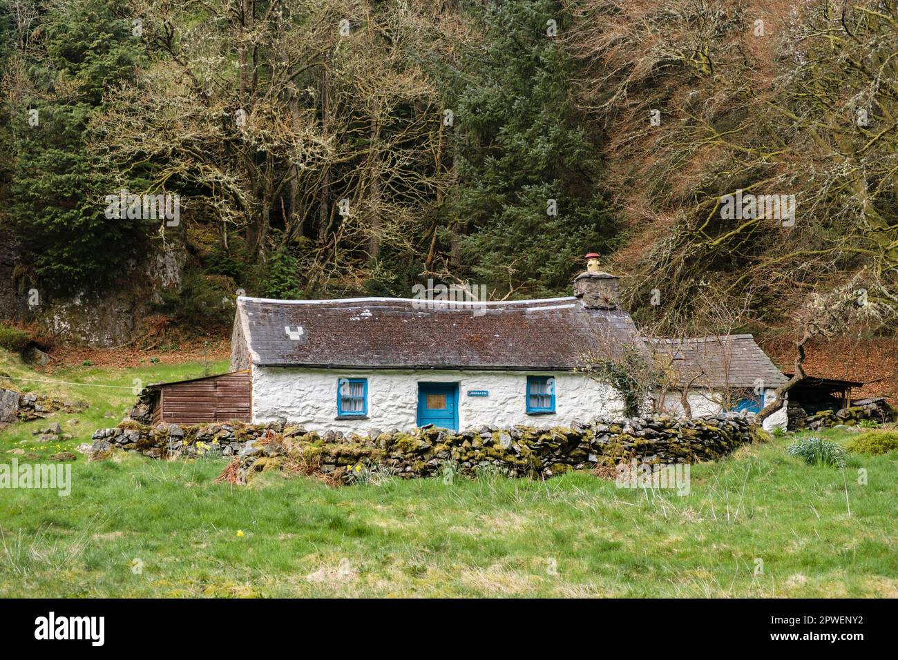Isolato vecchio cottage gallese in pietra con tetto in ardesia e pareti dipinte di bianco nel Parco forestale di Gwydyr nel Parco Nazionale di Snowdonia. Betws-y-Coed Conwy Wales Regno Unito Foto Stock
