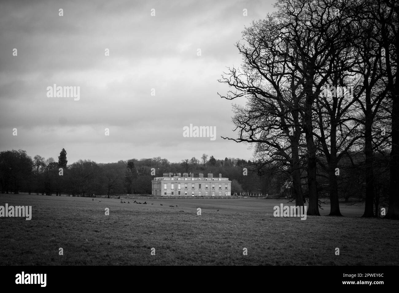 Vista esterna sui campi verso Althorp House, Northamptonshire, Inghilterra, Regno Unito. Casa ancestrale della famiglia Spencer Foto Stock