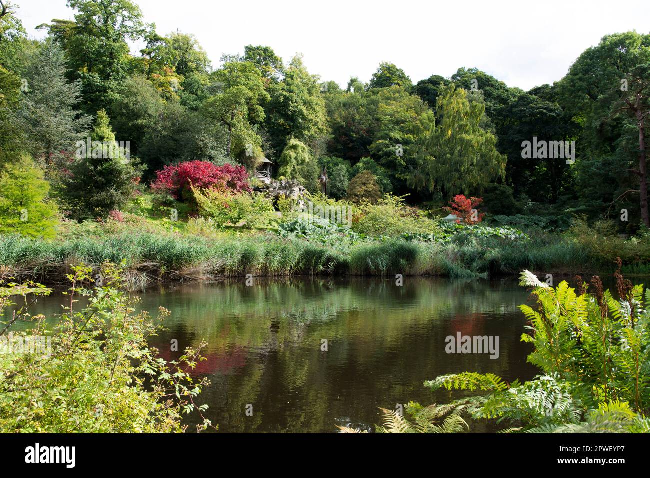 Chatsworth Estate House e giardini Foto Stock