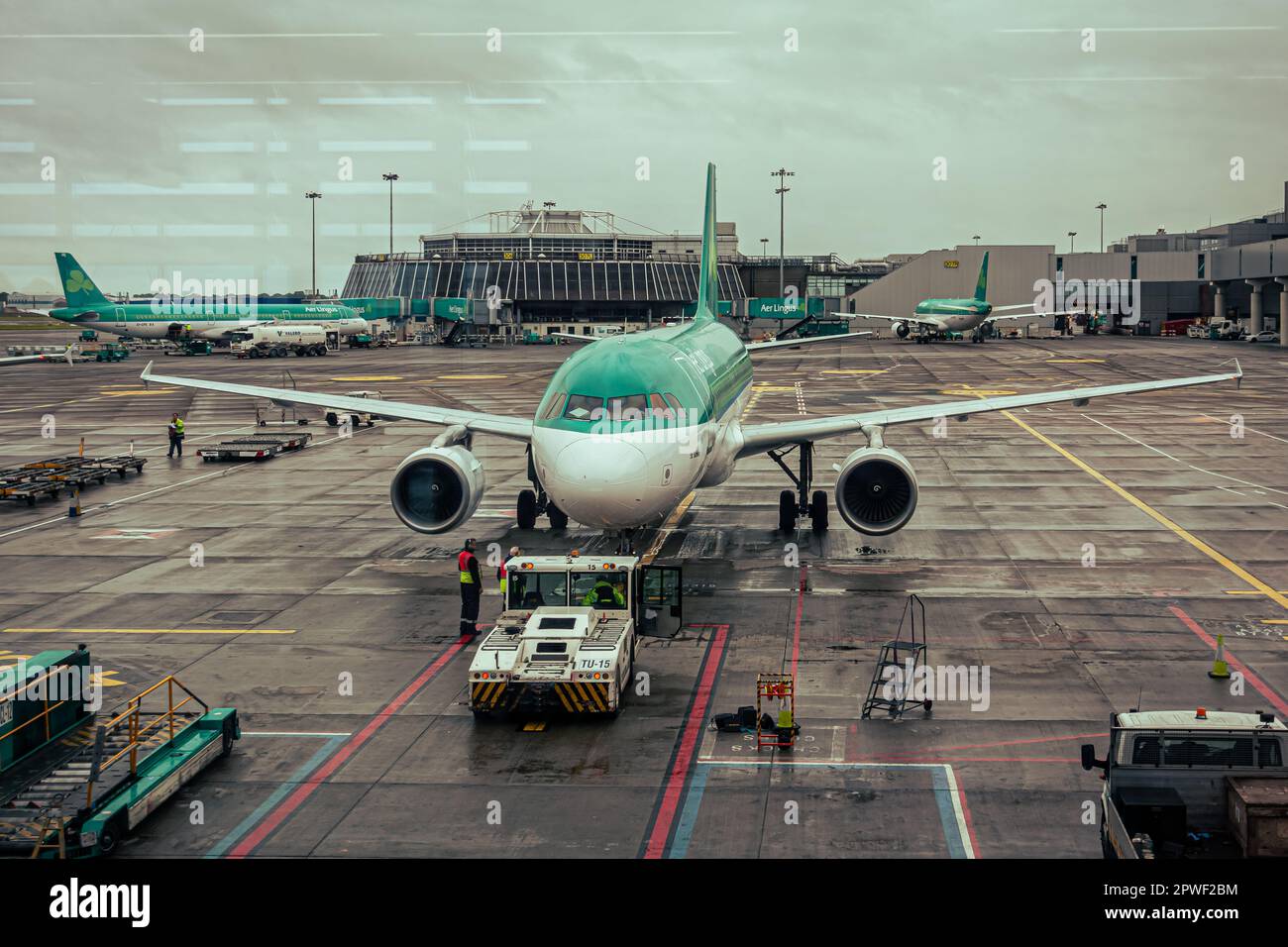 Aer Lingus è il vettore di bandiera dell'Irlanda Foto Stock