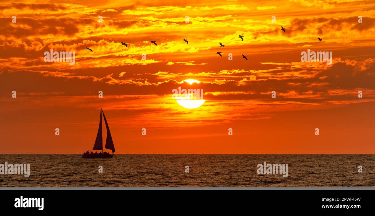 Una barca a vela è vela lungo l'oceano con uccelli volando in alto Foto Stock