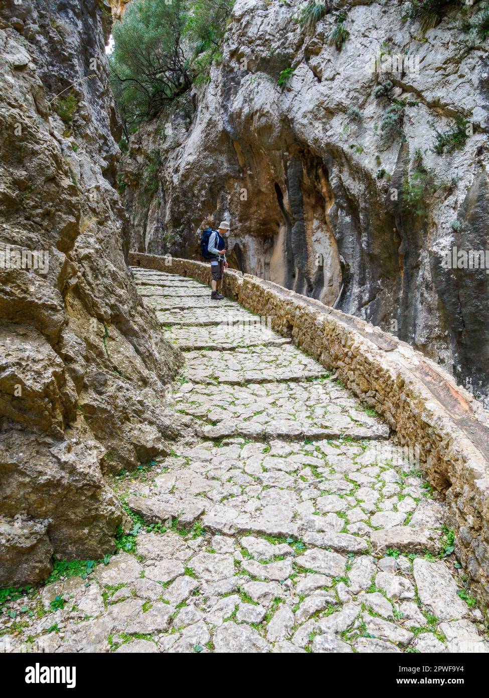 Cammina lungo il sentiero acciottolato attraverso la suggestiva gola di Barranc de Biniaraix sopra Soller nei Monti Tramuntana di Maiorca in Spagna Foto Stock