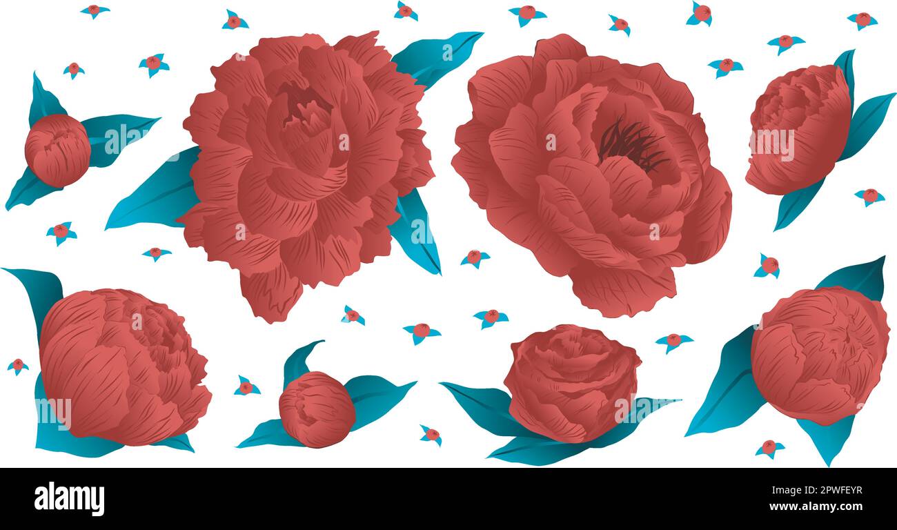 Set di elementi floreali vettorizzati, rose, fiori rossi risorsa. Rose di colore rosso su sfondo bianco Illustrazione Vettoriale