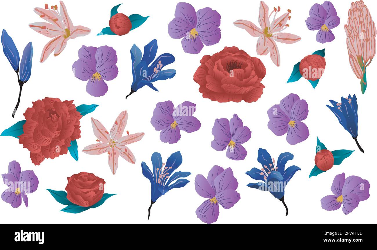 Set vettorizzato di fiori assortiti, primavera e colori allegri con sfumature belle Illustrazione Vettoriale