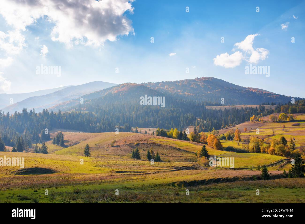 paesaggio rurale in autunno. campi e alberi sulla collina in una luce notturna appollata. meraviglioso paesaggio autunnale soleggiato della campagna carpaziana Foto Stock