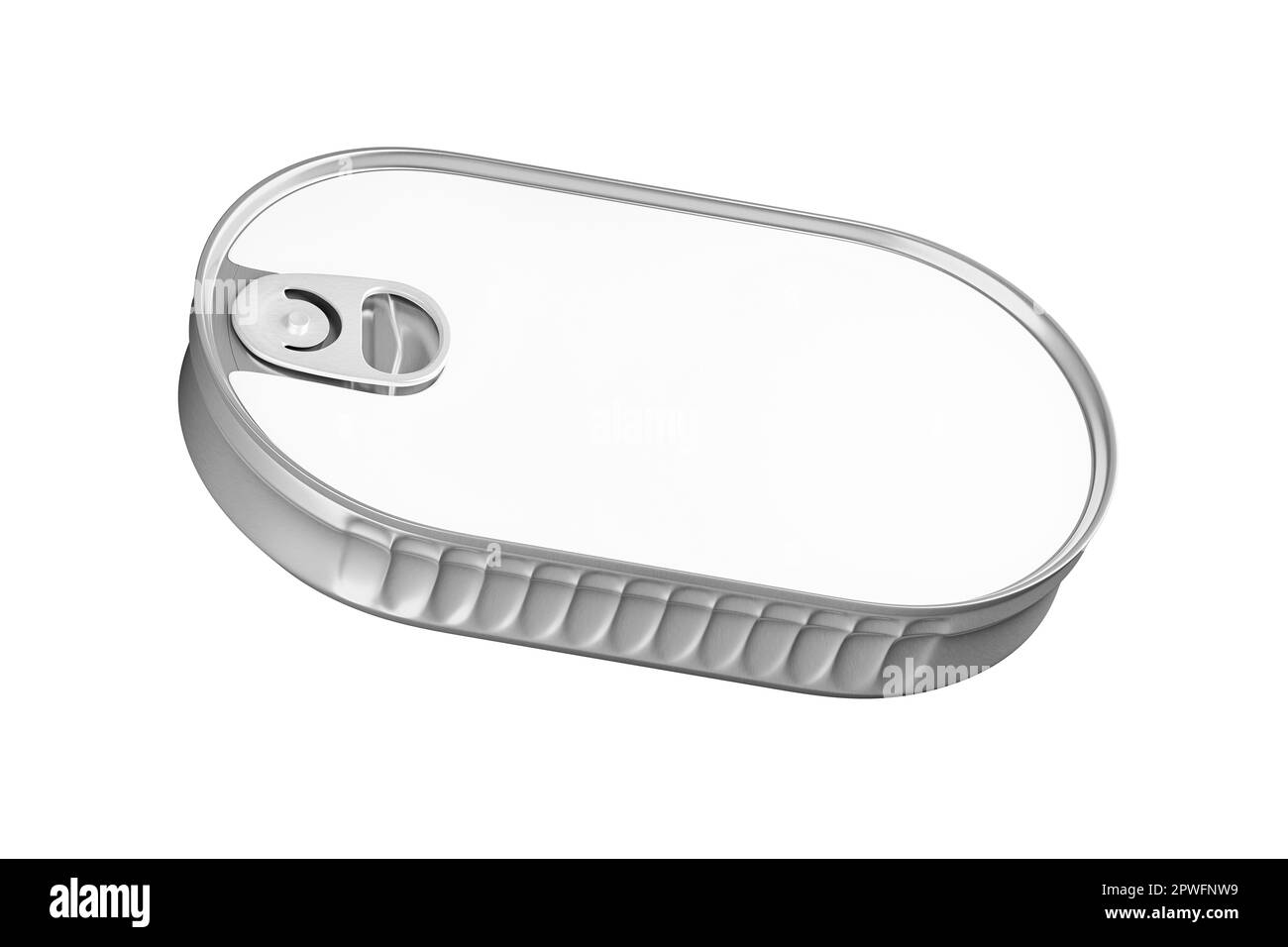 Lattina per il nuovo design con spazio bianco per il testo, rendering 3D, modello, vista di pesci inscatolati in metallo contenitore ovale closeup, isolato su sfondo bianco Foto Stock
